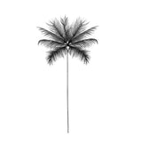 Fake tattoo - Palm tree 2 - Ank, arm, foreoarm tattoo - Skindesigned