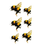 Temporary tattoo - Realistic Bees in Color - Child Tattoo