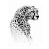 Realistic temporary tattoo - Cheetah - Big fake tattoo by Skindesigned