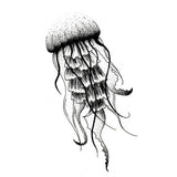 Non permanent tattoo - Jellyfish 2 - Nice fake tattoo | Skindesigned