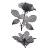 Best temporary Tattoo -  Female - Rose in Transparency - Skindesigned
