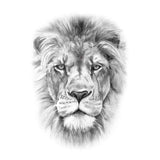 Temporary tattoo | beautiful realistic lion, skindesigned fake tattoo
